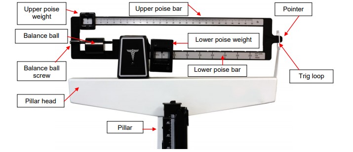 Parts of a Physician Beam Scale