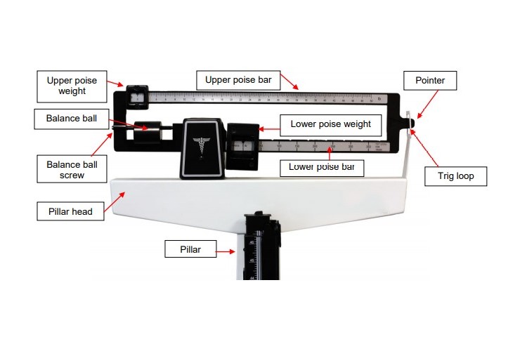 Understanding a Beam Scale